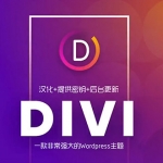 WordPress企业中文主题Divi汉化版|Divi编辑器|Divi模板库|[更新至4.14.5]